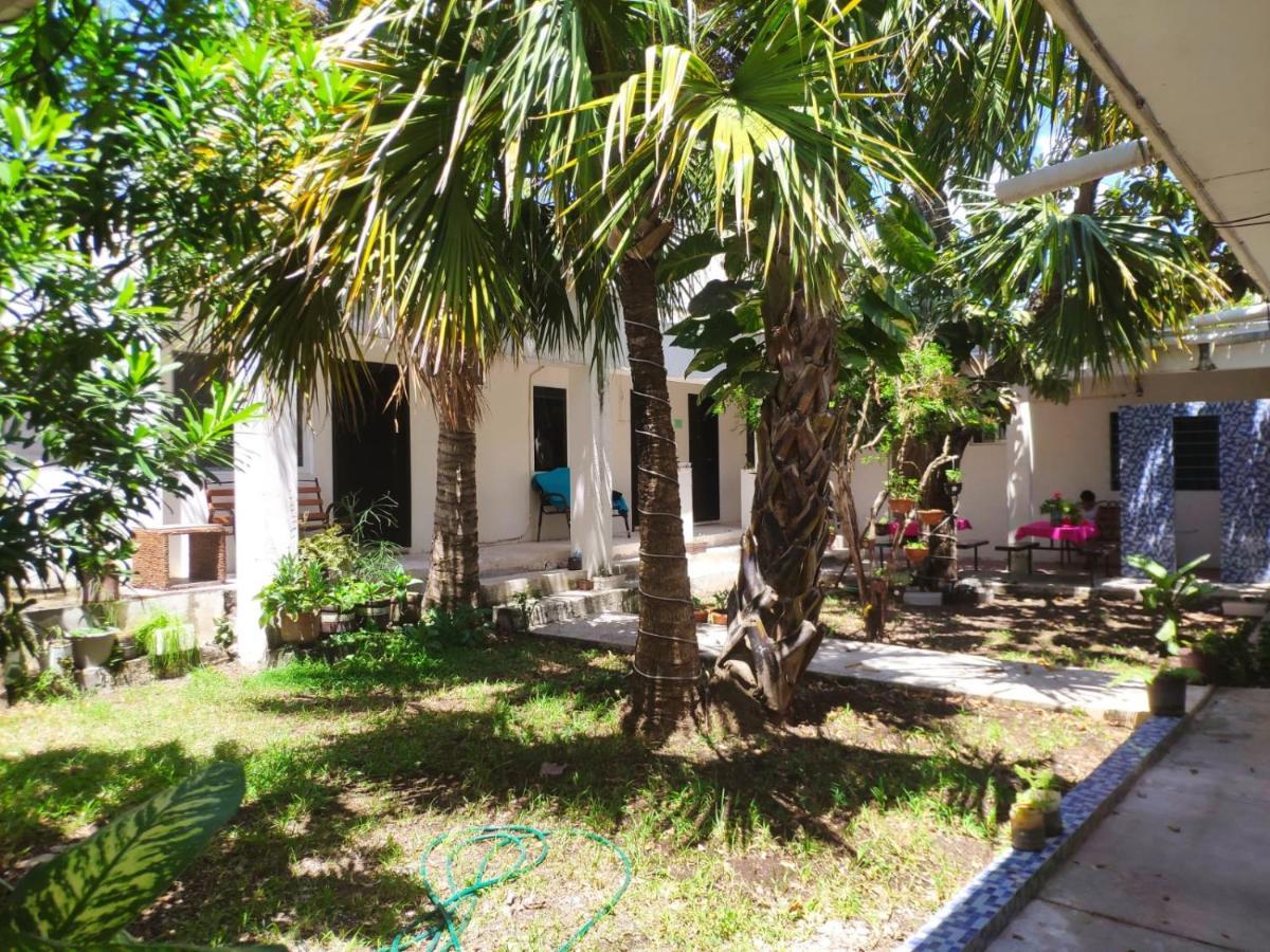 Bea Rooms And Studios Cozumel Exterior foto